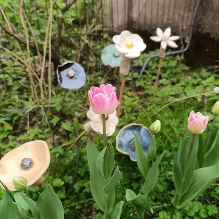 La Grange Aux Fees דירה אמנוויל